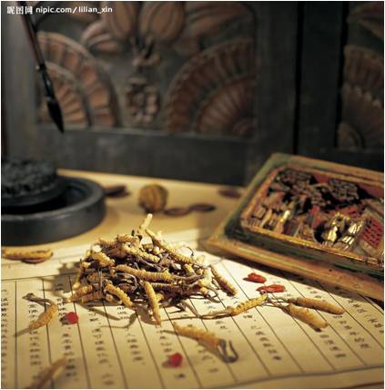 医药行业:十二五期间中国将支持构建中药材三大支持体系 医药行业:十二五期间中国将支持构建中药材三大支持体系