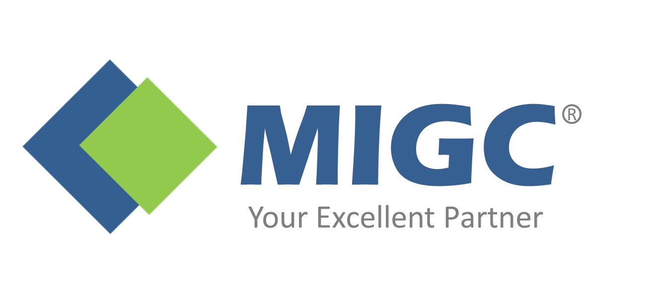 MIGC国际管理咨询集团