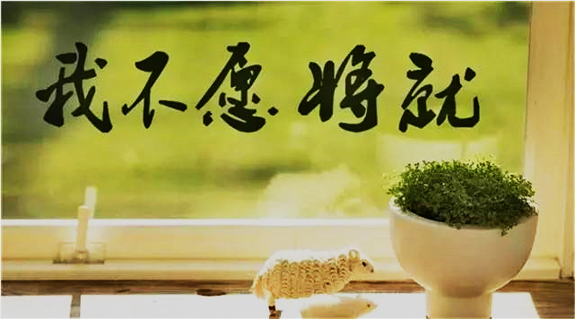 “别凑合啦，将就君！”